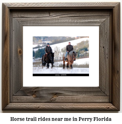 horse trail rides near me in Perry, Florida